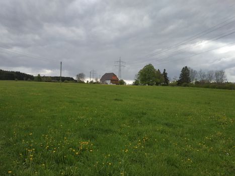 Meadow with trees on a rainy and cloudy day