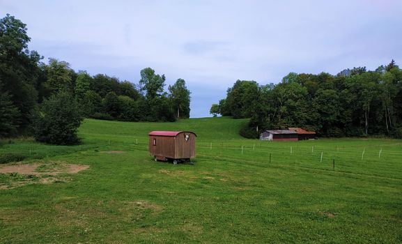 Tranquil scene of a green meadow in front of a forest