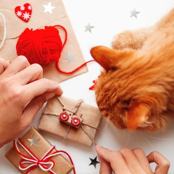 Woman wrapping DIY presents in craft paper. Gifts tied with white and red threads with toy train as decoration. Cute ginger cat shiffing it.