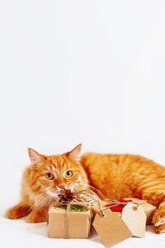 Cute ginger cat sniffing stack of Christmas presents on white background. New Year gifts wrapped in craft paper with copy space tags.