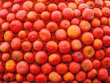 Bright orange pumpkins on straw. Top view on autumn crop.