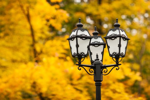 Street lantern on abstract autumn background. Natural background with yellow maple leaves.