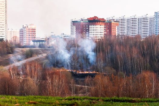 Wildfire in park. Forest fire in autumn day. Moscow, Russia.