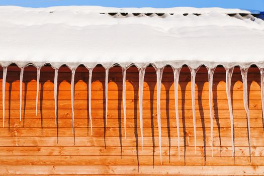 Long icicles on wooden wall in sunny winter day.