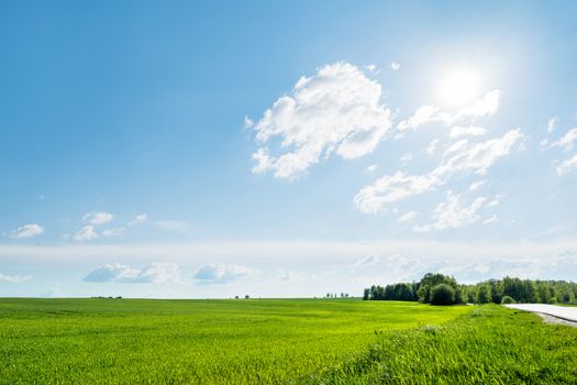 Countryside field natural background. Green grass and blue sky. Cloudscape in sunny day. Russia.