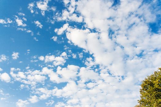 Bright sunny day with clouds. Green tree. Summer cloudscape on blue sky. Soft focus.