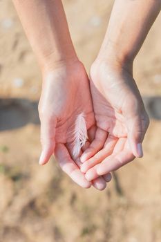 Woman holds a white feather of a seagull in hand. Symbol of lightness and fragility.