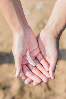 Woman holds a white feather of a seagull in hand. Symbol of lightness and fragility. Top view.