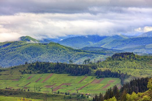 Rectangular land agricultural areas of local residents are located in a valley on a hillside against the backdrop of the picturesque landscape of the Carpathian Mountains shrouded in low gray clouds.