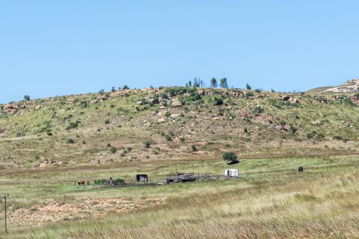 Landscape with an old caravan, shacks, horses and one person at Golden Gate in the Free State Province