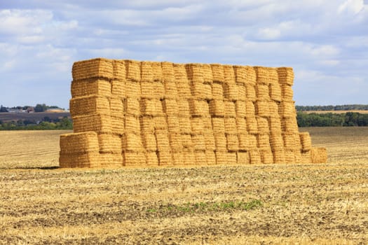A large stack of straw is neatly folded in the field after harvesting the wheat and shines gold in sunlight.