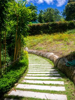 Beautiful pathway in a park in summer, Landscape with scenic winding footpath in sunlight. Stone overgrown path in sunny garden