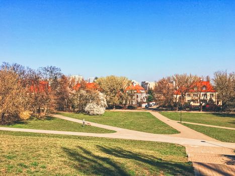 Blooming trees in spring in a city park, nature and landscape