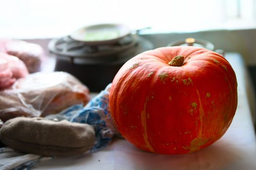 Pumpkin on the table. Pumpkin