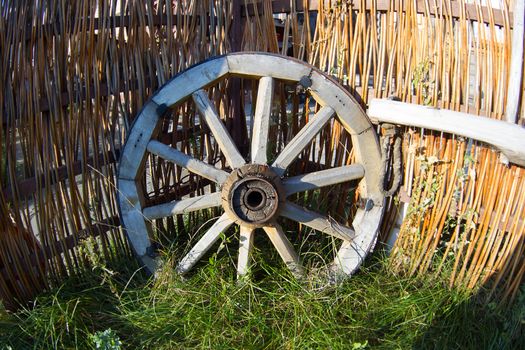 Wooden wheel from a cart