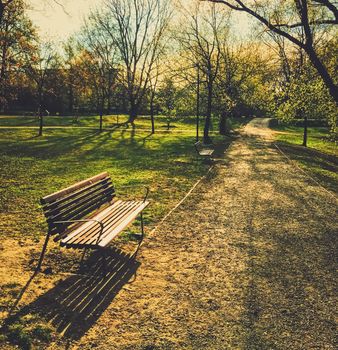 Empty bench in park during a city lockdown in coronavirus pandemic, outdoors and social issue