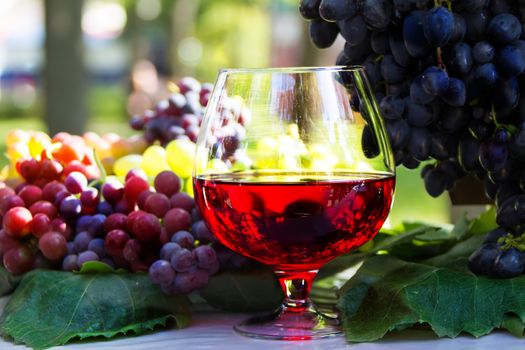 A glass of wine and a bunch of grapes. Red wine in a glass