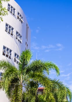 Bright blue sky with white building and the palm tree