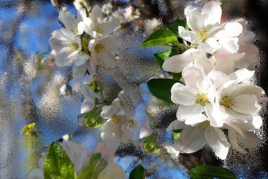 Spring 2020, a spring of collection.
Spring full of fresh and fragrant colors.
Spring as it will never be.