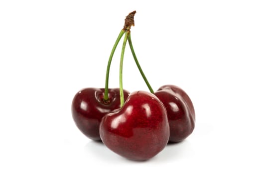 Three ripe perfect cherries isolated on a white background in close-up