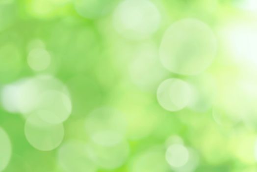 Beautiful abstract green nature and eco friendly background with bokeh lights effect.