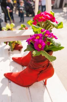 Funny street decorations - painted old boots with plants and flowers inside. Shoes used like flower pots. Moscow, Russia.