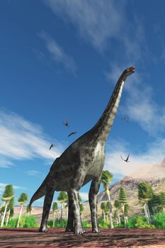 Cetiosaurus herbivorous dinosaur is surrounded by Dorygnathus Pterosaur birds during the Jurassic Period.