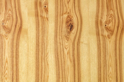 A beautiful pattern cut of a tree in the form of a new smooth wooden veneer with vertical guides.