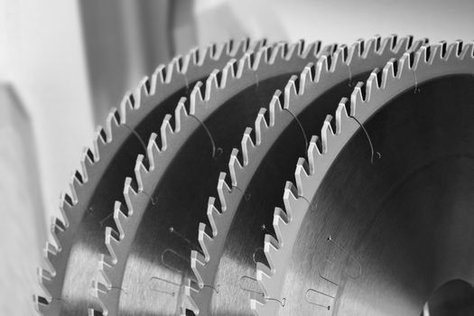 Tool for woodworking, a segment of circular saws with carbide brazing for cutting wood close-up, black and white image.