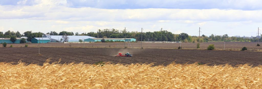 Beautiful panorama of farmland, the tractor cultivates the land in the autumn in the morning.