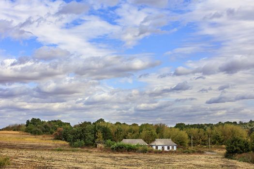 An abandoned rural house is surrounded by hedge overgrown with shrubs, autumn trees, on the side of a rural road at the edge of the field under a cloudy morning sky.