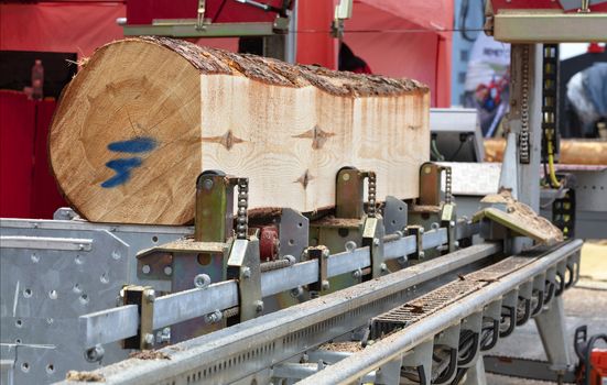 Woodworking, lumber, a large pine log is fixed on the flyover of a modern automatic sawmill.