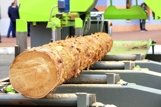 Woodworking, lumber, pine boards will be made from large logs at a modern automatic sawmill.
