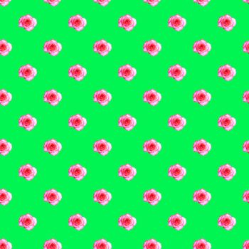 Seamless pattern with blooming rose bud on a light green background. Modern style isometric concept.