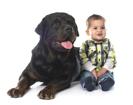 little boy and rottweiler in front of white background