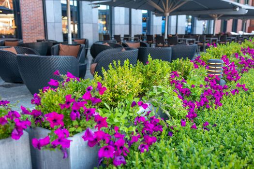Luxury restaurant or cafe terrace with greenery and flowers located outdoors in a street (selective focus). 