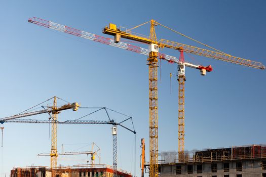Group of construction cranes on a blue sky background.