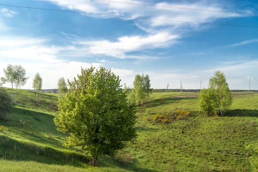 Sunny may morning. Meadow, trees and blue sky with clouds