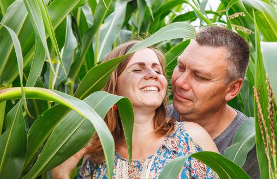 couple of lovers canoodle in the corn field on sunny summer day