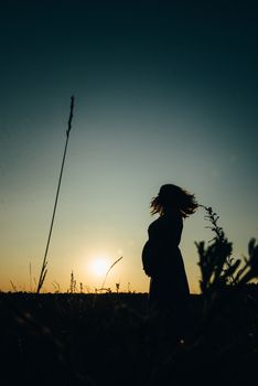 silhouettes of a happy young happy family against an orange sunset in the desert