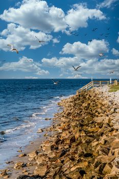 Rock Seawall with Seagulls in blue sky