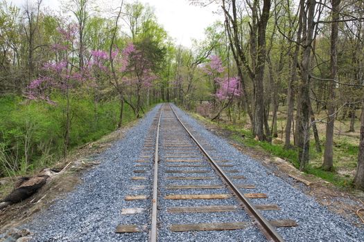New Rail Road Track on 1830's Right of Way