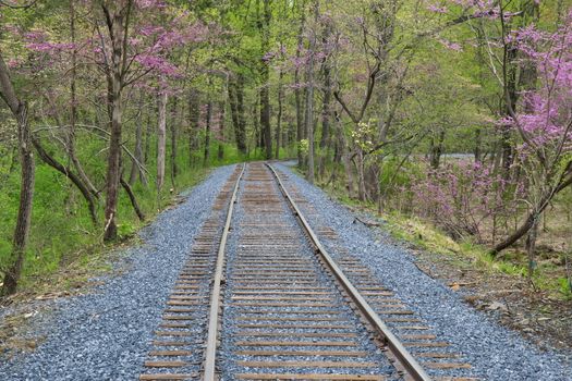 New Rail Road Track on 1830's Right of Way