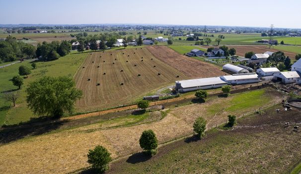 Aerial View of Amish Farmers Harvesting there Crops in Summer