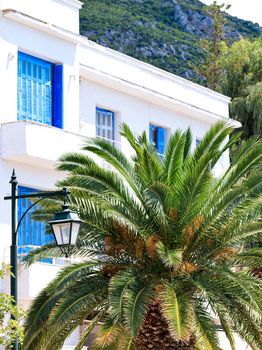 The crown of a date palm tree is spread out near a metal street lamp against the background of a traditional white Greek house with blue wooden windows and doors.