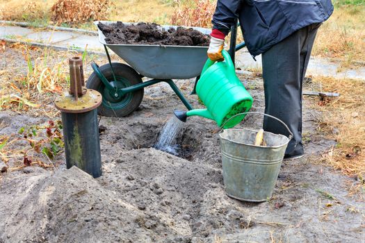 A farmer is preparing a mixture of peat, land and water for planting rose bushes on a personal plot. A garden wheelbarrow, a bucket and a plastic watering can is a necessary garden tool for delivering soil and peat for planting a rose bush. Home garden and agricultural concept.