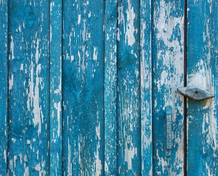 Rubbed blue paint on an old wooden door of boards and a wooden texture