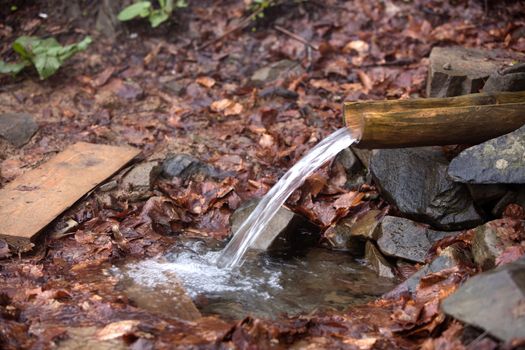 Pure water among the stones and fallen leaves flows along a wooden trench.
