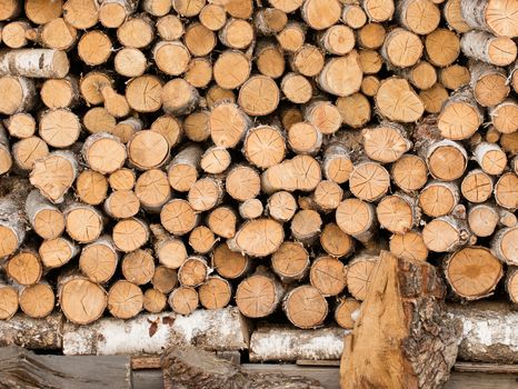 Birch logs lie on top of each other for heating in a home oven.