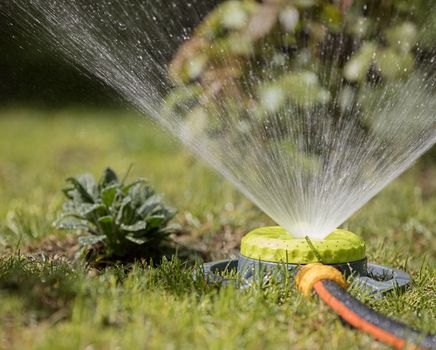 Portable sprinkler plentifully watered bushes and lawn grass